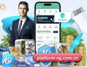 NG娱乐 APP 深度功能